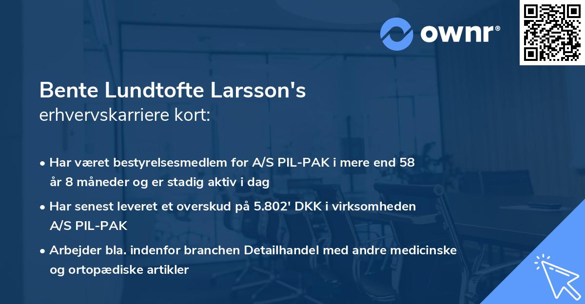 Bente Lundtofte Larsson's erhvervskarriere kort