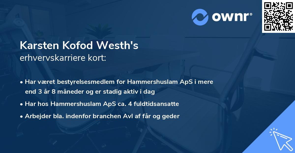 Karsten Kofod Westh's erhvervskarriere kort