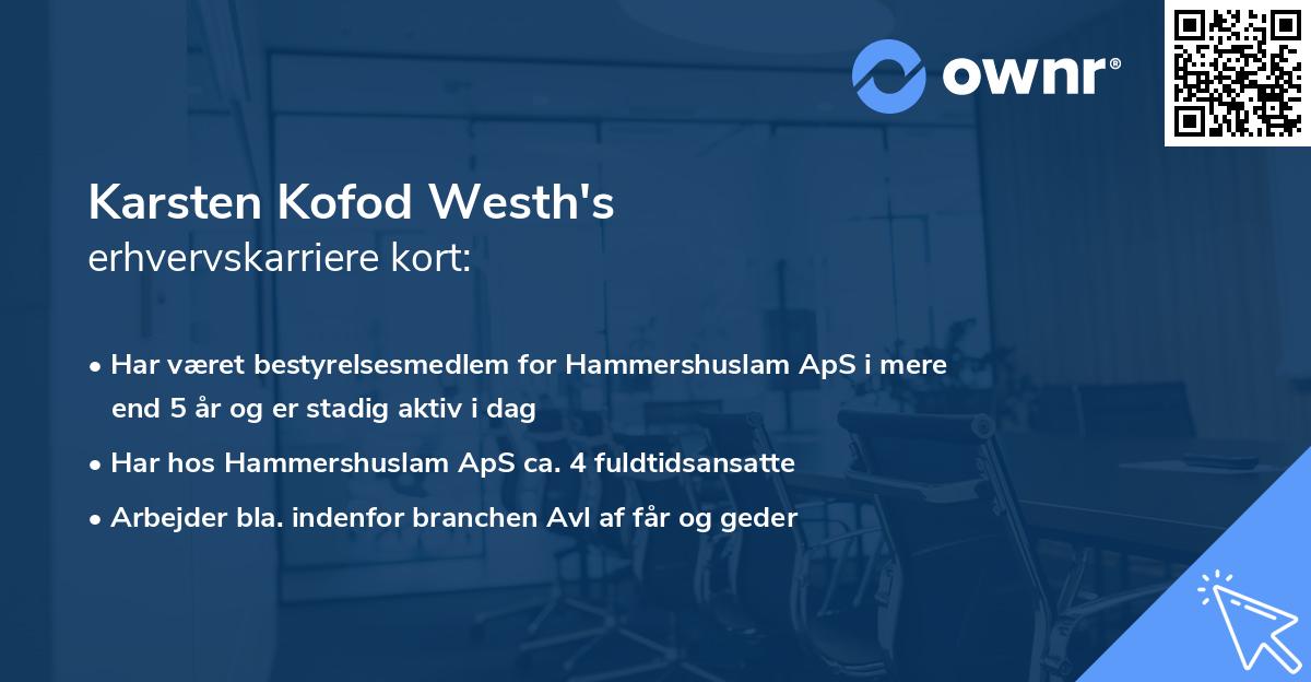 Karsten Kofod Westh's erhvervskarriere kort