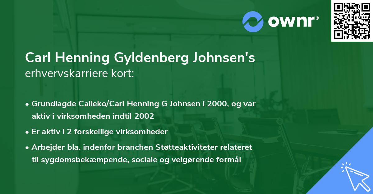 Carl Henning Gyldenberg Johnsen's erhvervskarriere kort