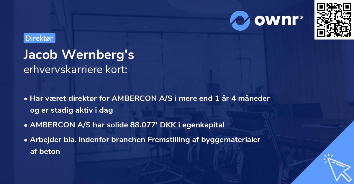 Jacob Wernberg's erhvervskarriere kort
