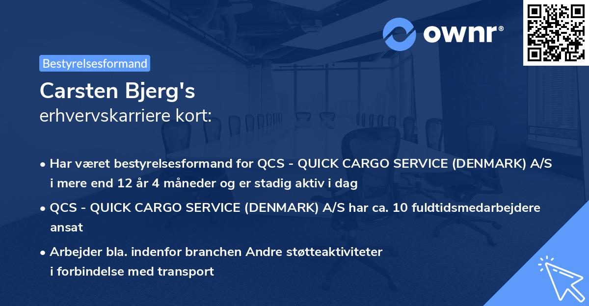 Carsten Bjerg's erhvervskarriere kort