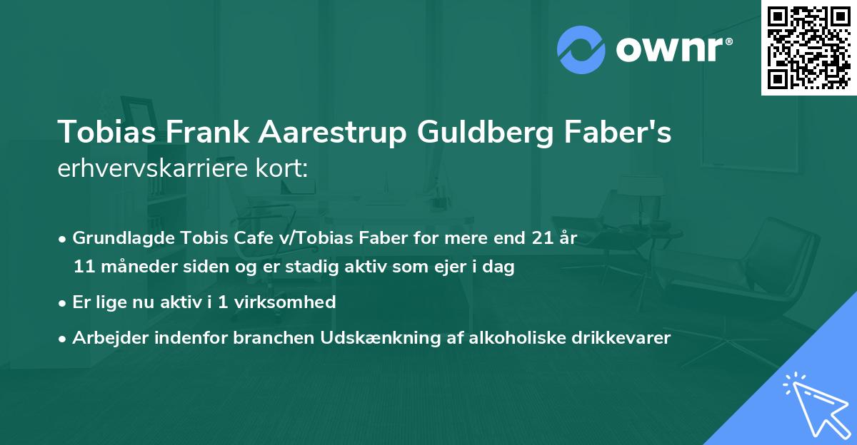 Tobias Frank Aarestrup Guldberg Faber's erhvervskarriere kort
