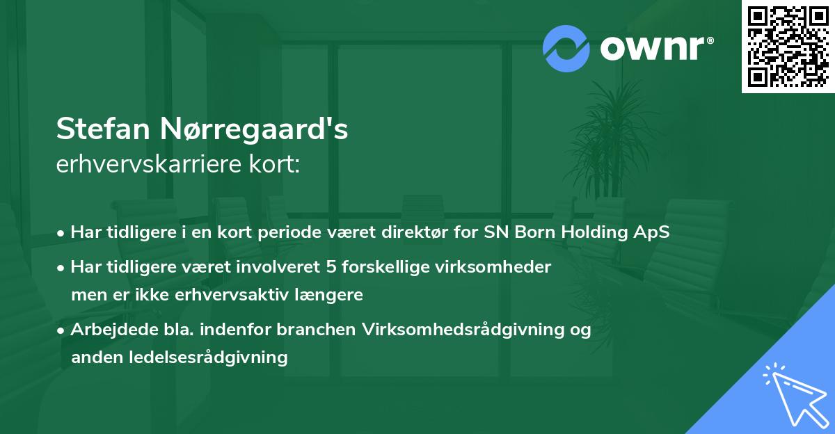 Stefan Nørregaard's erhvervskarriere kort