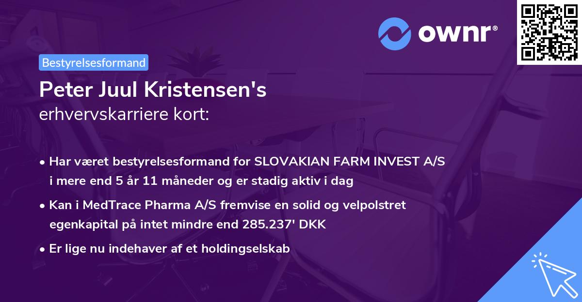 Peter Juul Kristensen's erhvervskarriere kort