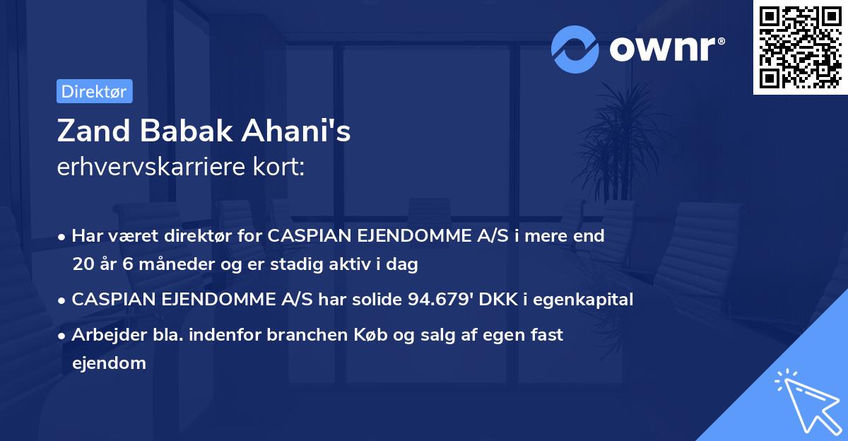 Zand Babak Ahani's erhvervskarriere kort