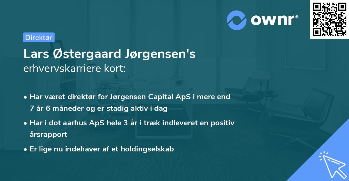 Lars Østergaard Jørgensen's erhvervskarriere kort