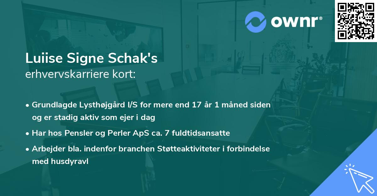 Luiise Signe Schak's erhvervskarriere kort