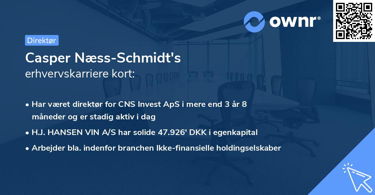 Casper Næss-Schmidt's erhvervskarriere kort