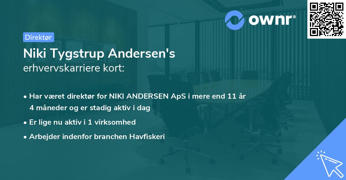 Niki Tygstrup Andersen's erhvervskarriere kort