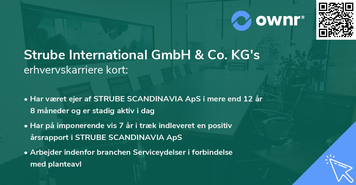 Strube International GmbH & Co. KG's erhvervskarriere kort