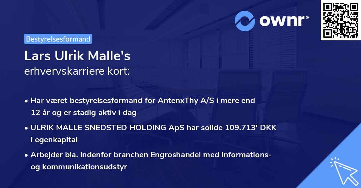 Lars Ulrik Malle's erhvervskarriere kort