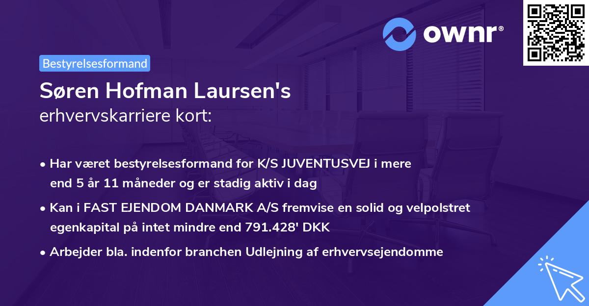 Søren Hofman Laursen's erhvervskarriere kort