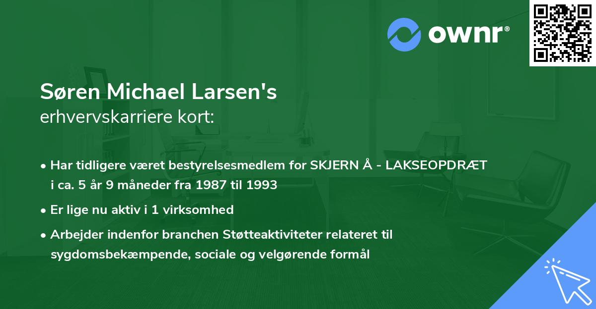 Søren Michael Larsen's erhvervskarriere kort