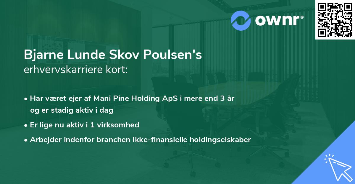 Bjarne Lunde Skov Poulsen's erhvervskarriere kort