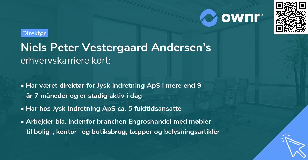 Niels Peter Vestergaard Andersen's erhvervskarriere kort
