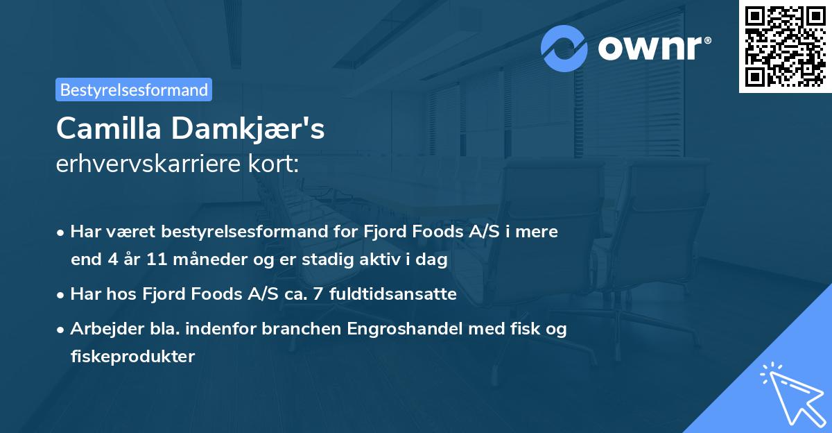Camilla Damkjær's erhvervskarriere kort