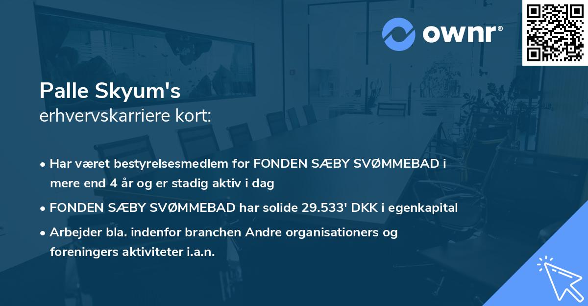 Palle Skyum's erhvervskarriere kort