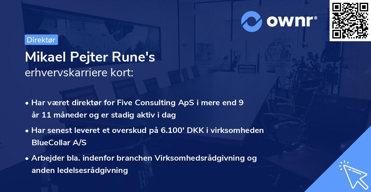 Mikael Pejter Rune's erhvervskarriere kort