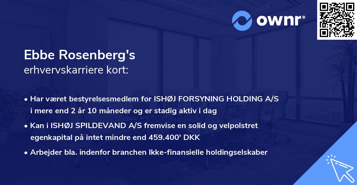 Ebbe Rosenberg's erhvervskarriere kort