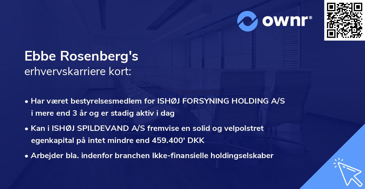 Ebbe Rosenberg's erhvervskarriere kort