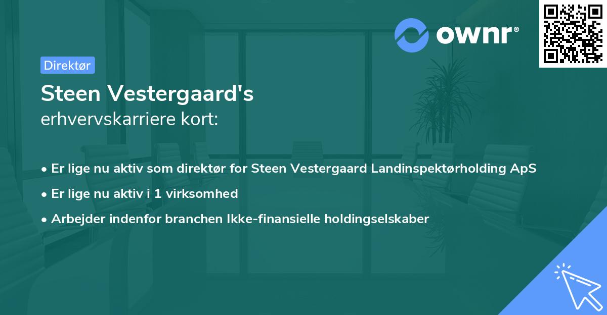 Steen Vestergaard's erhvervskarriere kort