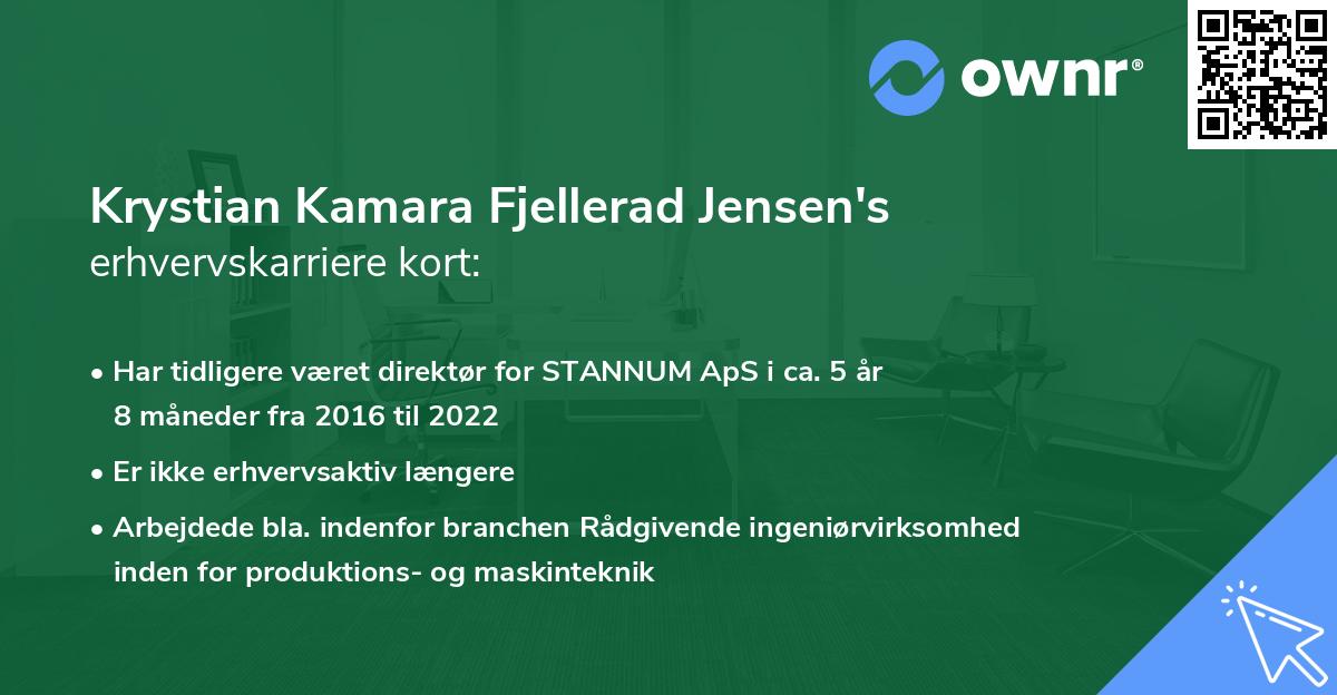 Krystian Kamara Fjellerad Jensen's erhvervskarriere kort