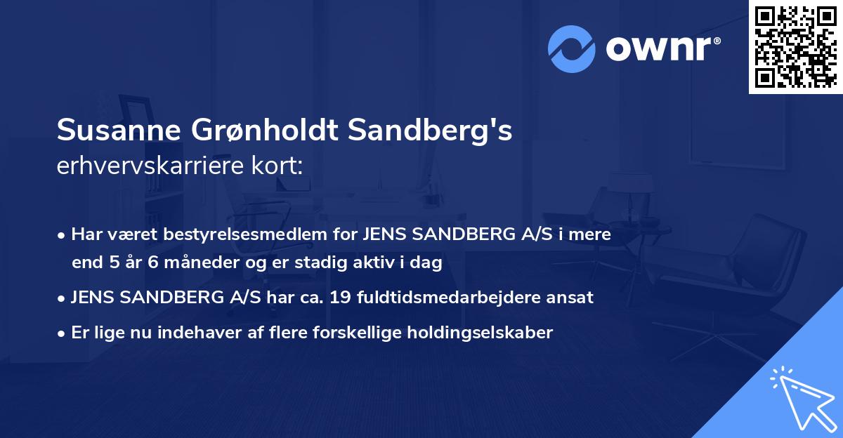 Susanne Grønholdt Sandberg's erhvervskarriere kort