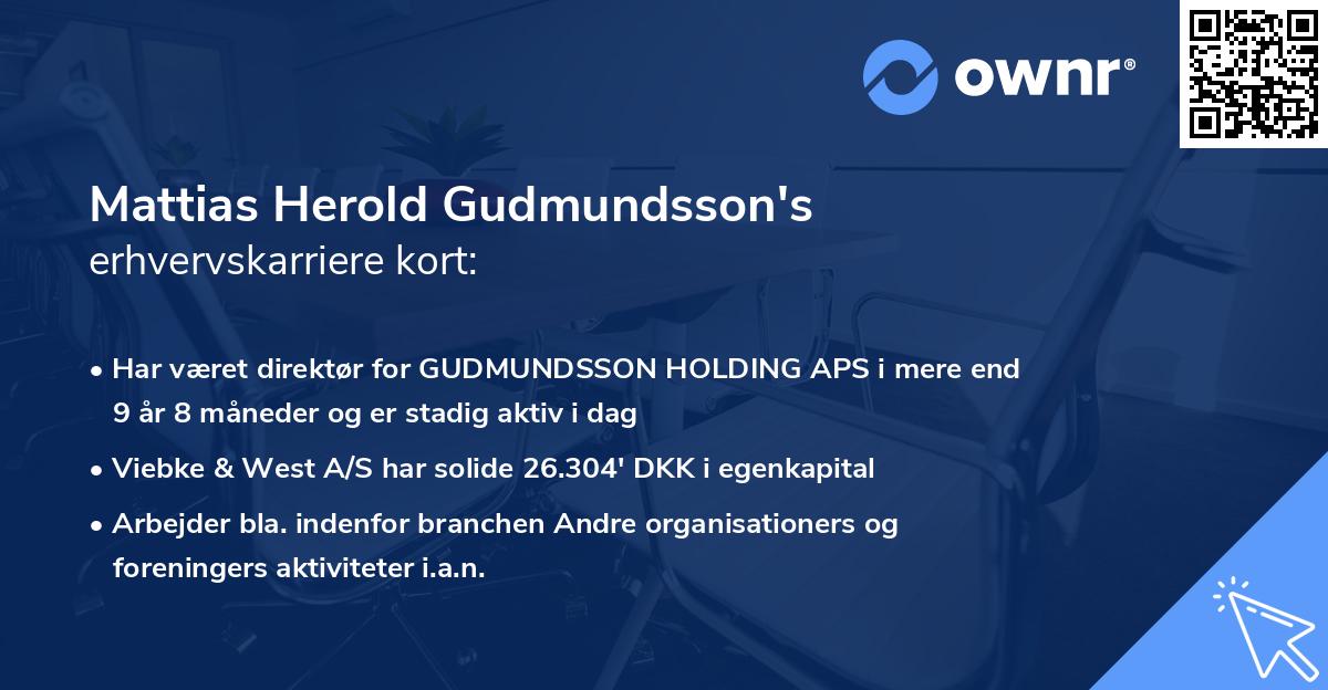 Mattias Herold Gudmundsson's erhvervskarriere kort