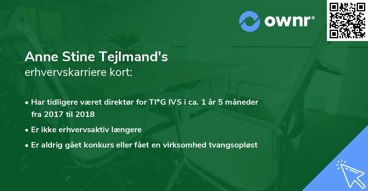 Anne Stine Tejlmand's erhvervskarriere kort