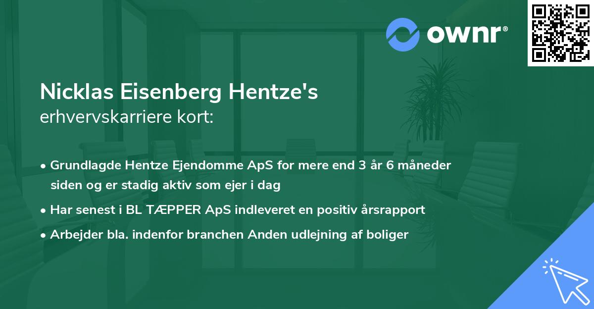 Nicklas Eisenberg Hentze's erhvervskarriere kort