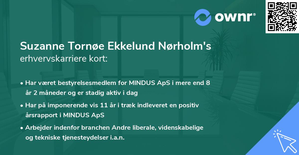 Suzanne Tornøe Ekkelund Nørholm's erhvervskarriere kort