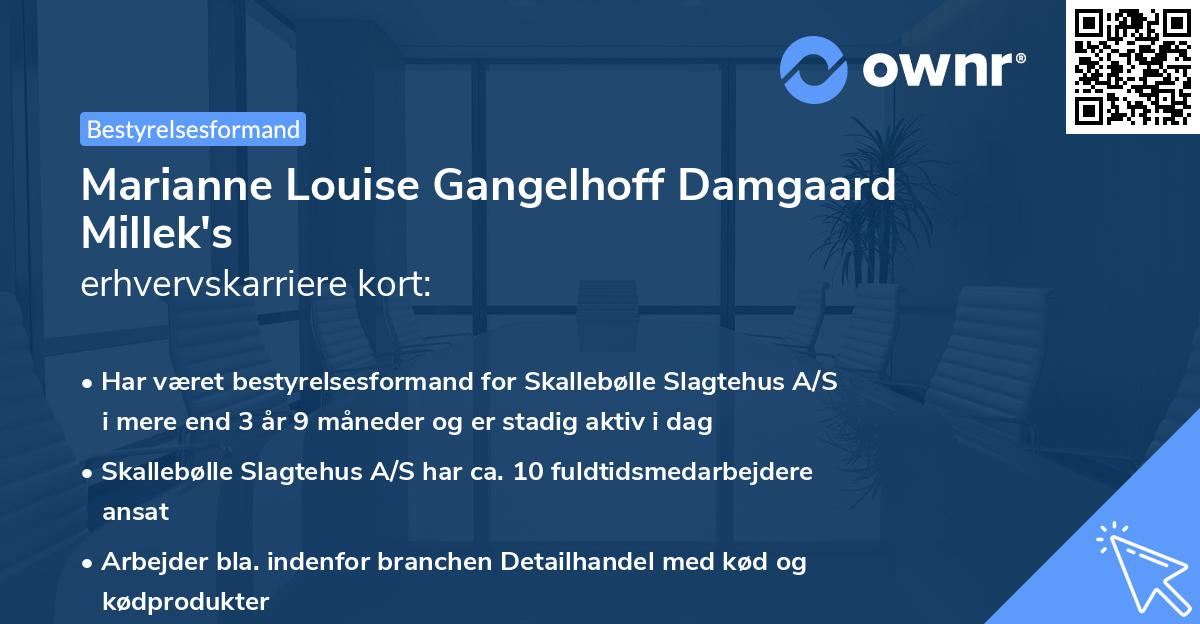 Marianne Louise Gangelhoff Damgaard Millek's erhvervskarriere kort