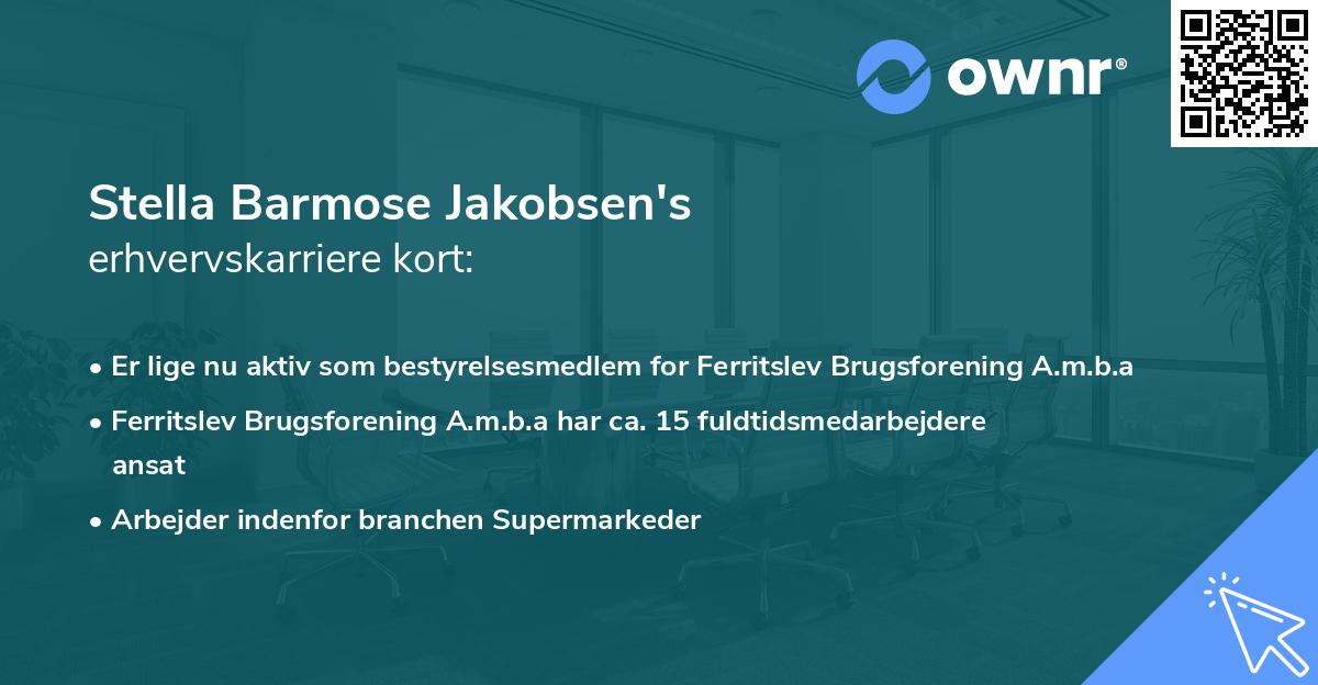 Stella Barmose Jakobsen's erhvervskarriere kort