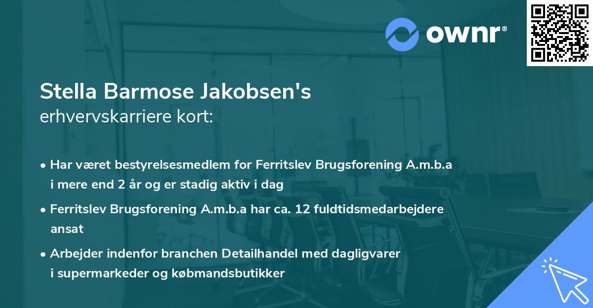 Stella Barmose Jakobsen's erhvervskarriere kort