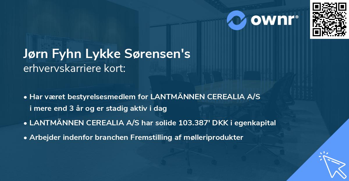 Jørn Fyhn Lykke Sørensen's erhvervskarriere kort