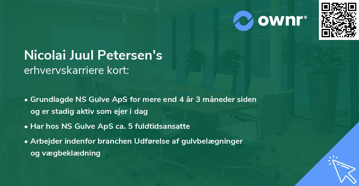 Nicolai Juul Petersen's erhvervskarriere kort