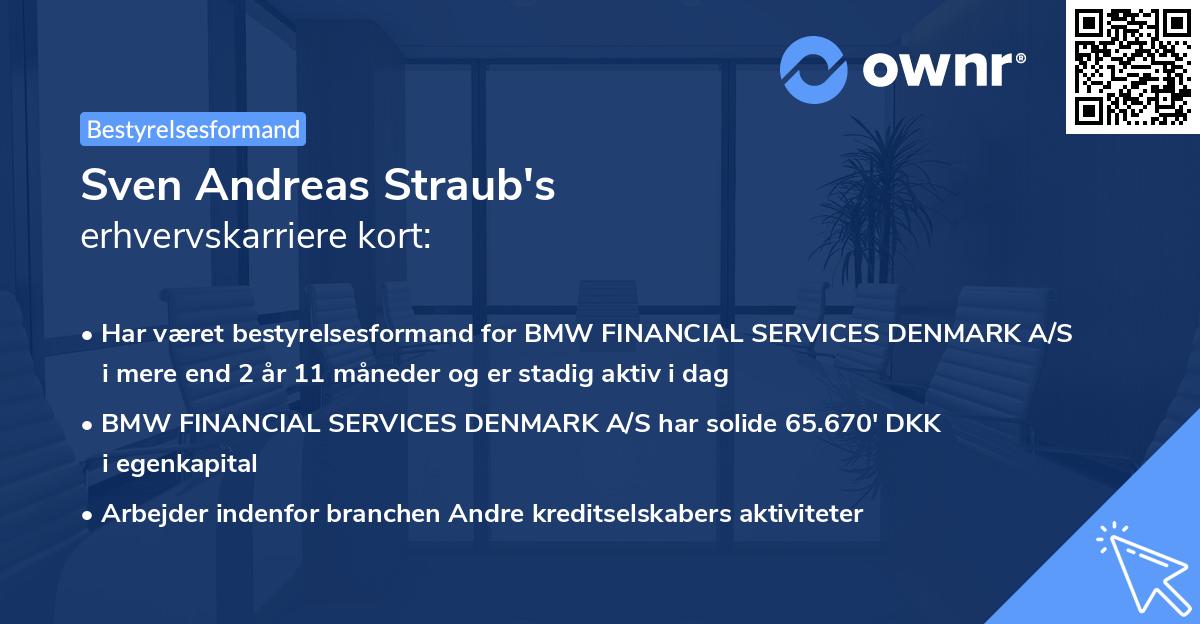 Sven Andreas Straub's erhvervskarriere kort