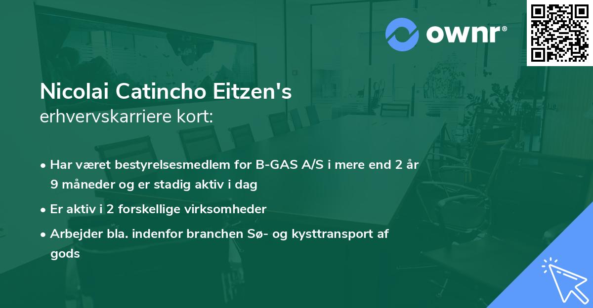 Nicolai Catincho Eitzen's erhvervskarriere kort