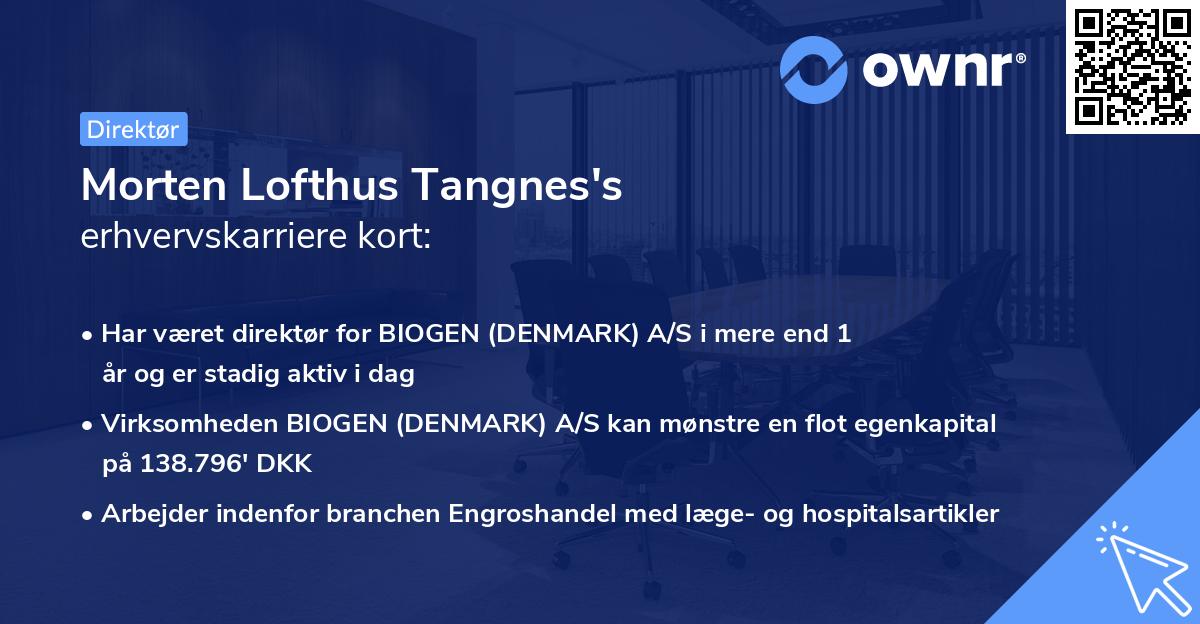 Morten Lofthus Tangnes's erhvervskarriere kort