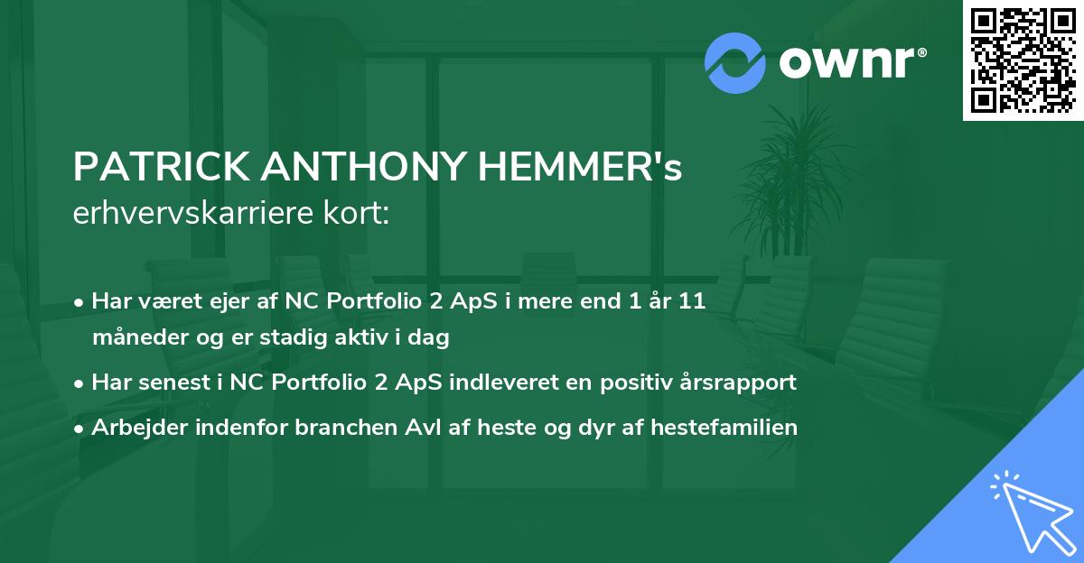 PATRICK ANTHONY HEMMER's erhvervskarriere kort