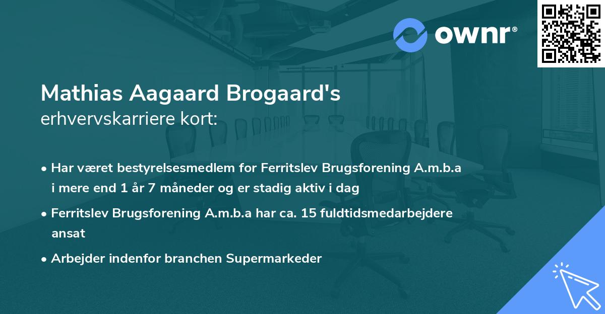 Mathias Aagaard Brogaard's erhvervskarriere kort