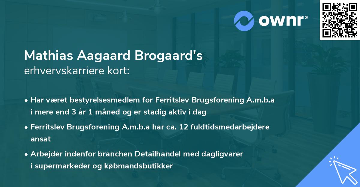 Mathias Aagaard Brogaard's erhvervskarriere kort