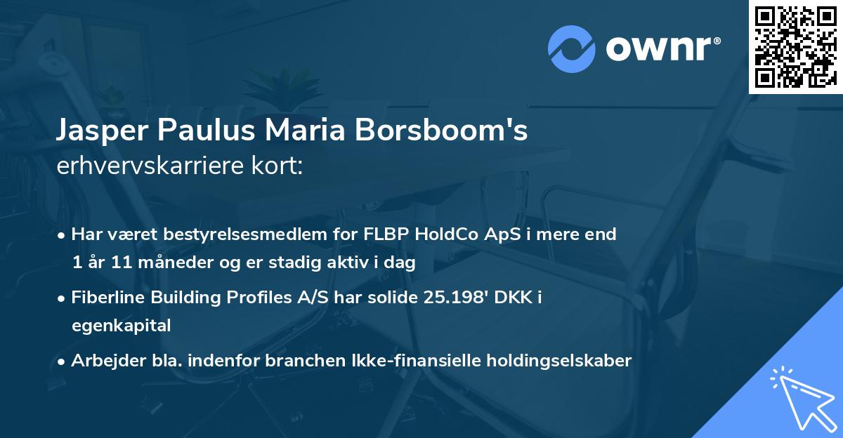Jasper Paulus Maria Borsboom's erhvervskarriere kort