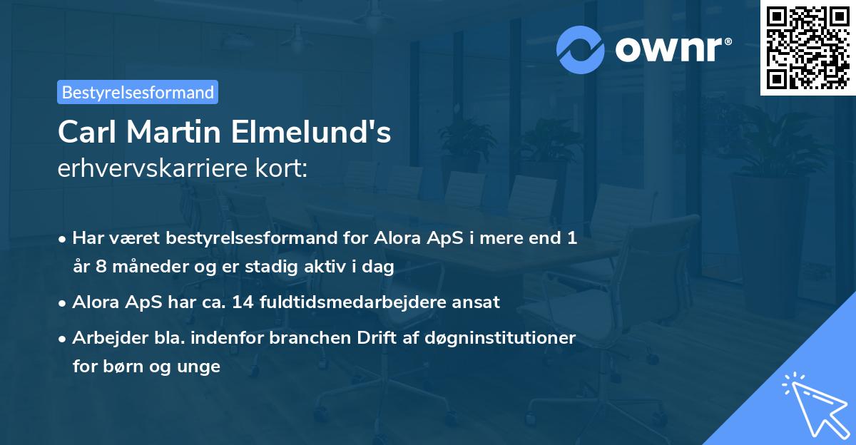 Carl Martin Elmelund's erhvervskarriere kort