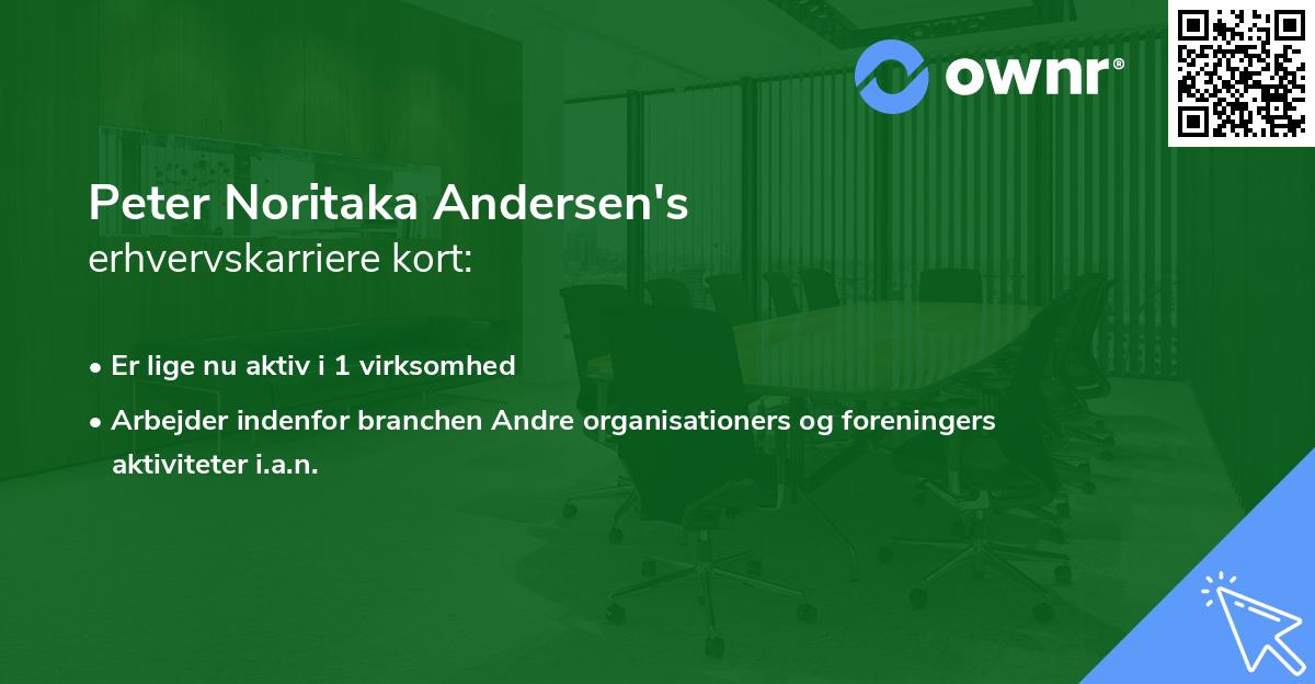 Peter Noritaka Andersen's erhvervskarriere kort