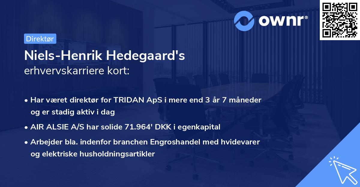 Niels-Henrik Hedegaard's erhvervskarriere kort