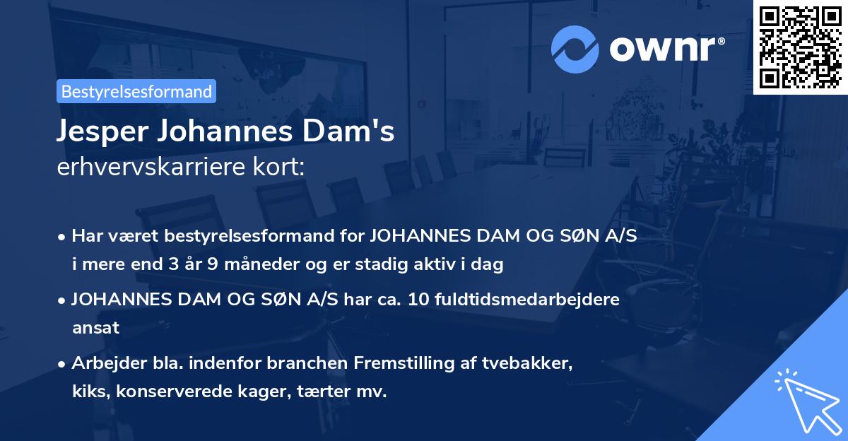 Jesper Johannes Dam's erhvervskarriere kort