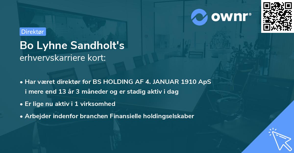 Bo Lyhne Sandholt's erhvervskarriere kort
