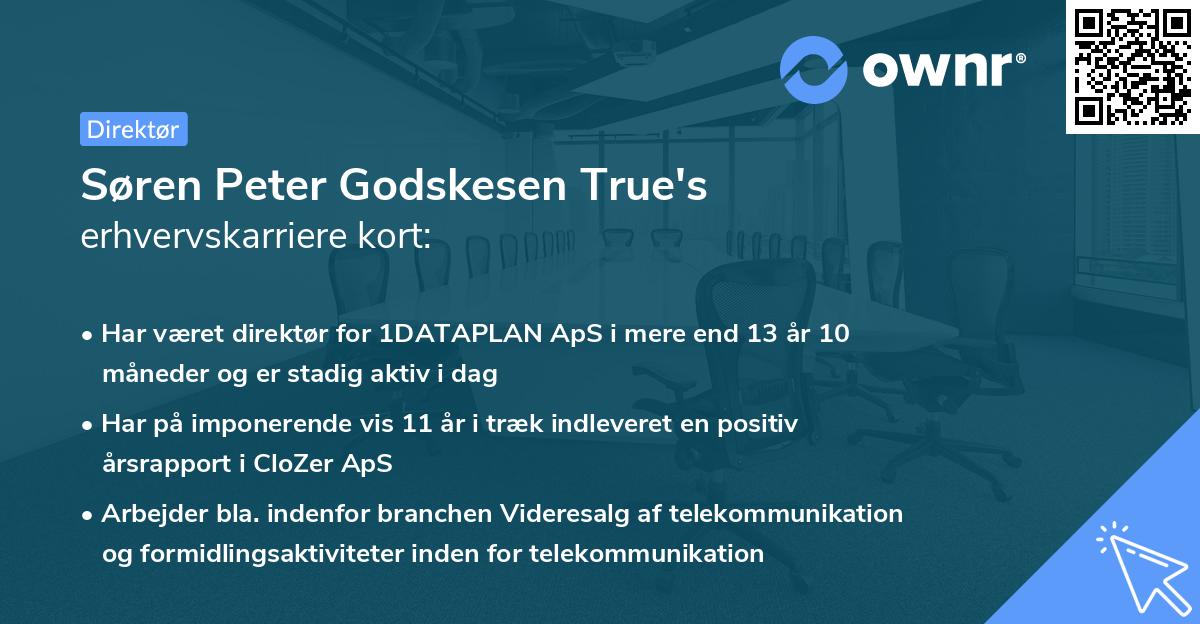 Søren Peter Godskesen True's erhvervskarriere kort